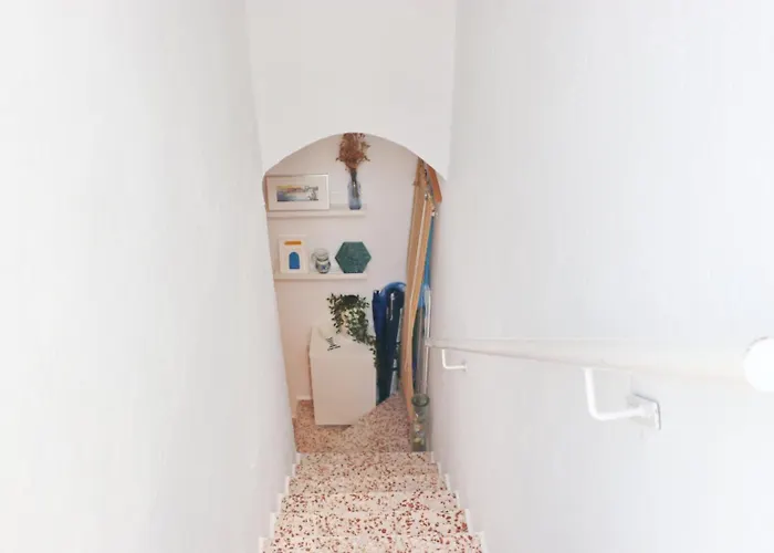 El Capricho Del Olivo Διαμέρισμα Conil De La Frontera