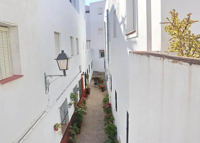 El Capricho Del Olivo Conil De La Frontera