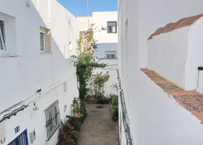 El Capricho Del Olivo Appartement *